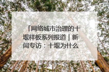 网络城市治理的十堰样板系列报道｜新闻专访：十堰为什么成为“黑马型”城市治理网络维度典型