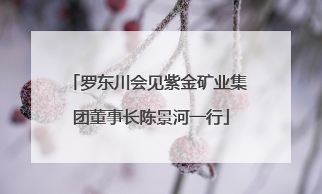 罗东川会见紫金矿业集团董事长陈景河一行