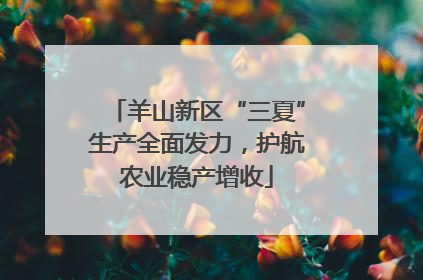 羊山新区“三夏”生产全面发力，护航农业稳产增收