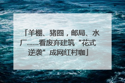 羊棚、猪圈，邮局、水厂……看废弃建筑“花式逆袭”成网红村咖