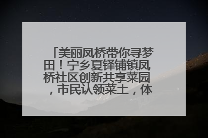 美丽凤桥带你寻梦田！宁乡夏铎铺镇凤桥社区创新共享菜园，市民认领菜土，体验耕种收获乐趣