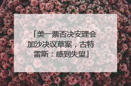 美一票否决安理会加沙决议草案，古特雷斯：感到失望