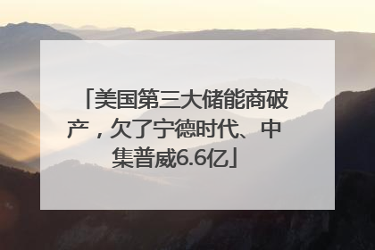 美国第三大储能商破产，欠了宁德时代、中集普威6.6亿