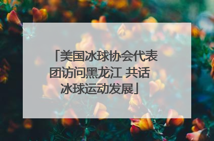 美国冰球协会代表团访问黑龙江 共话冰球运动发展