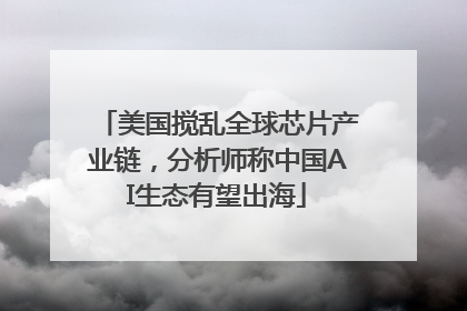 美国搅乱全球芯片产业链，分析师称中国AI生态有望出海
