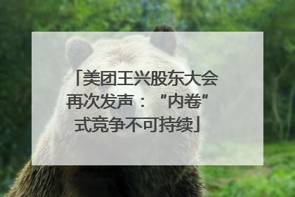 美团王兴股东大会再次发声：“内卷”式竞争不可持续
