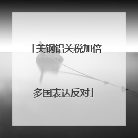 美钢铝关税加倍 多国表达反对