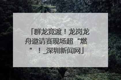 群龙竞渡！龙岗龙舟邀请赛现场超“燃”！_深圳新闻网