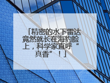 精密的水下雷达竟然就长在海豹脸上，科学家直呼“真香”！