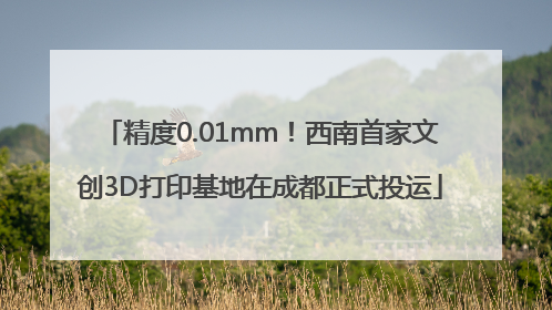 精度0.01mm！西南首家文创3D打印基地在成都正式投运