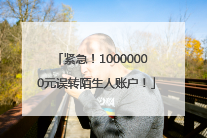 紧急！10000000元误转陌生人账户！