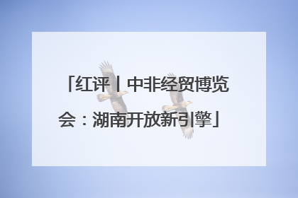 红评丨中非经贸博览会：湖南开放新引擎