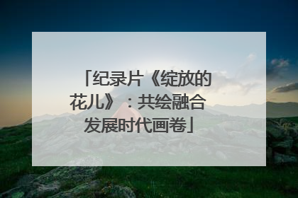 纪录片《绽放的花儿》：共绘融合发展时代画卷