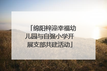 绵阳梓潼幸福幼儿园与自强小学开展支部共建活动