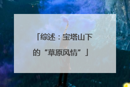 综述：宝塔山下的“草原风情”