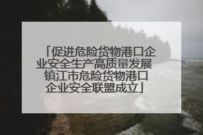 促进危险货物港口企业安全生产高质量发展 镇江市危险货物港口企业安全联盟成立
