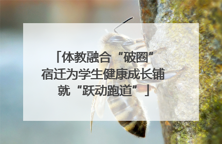 体教融合“破圈” 宿迁为学生健康成长铺就“跃动跑道”