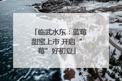 临武水东：蓝莓甜蜜上市 开启“莓”好初夏