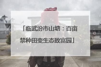 临武汾市山塘：百亩禁种田变生态致富园
