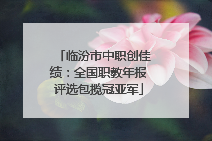 临汾市中职创佳绩：全国职教年报评选包揽冠亚军