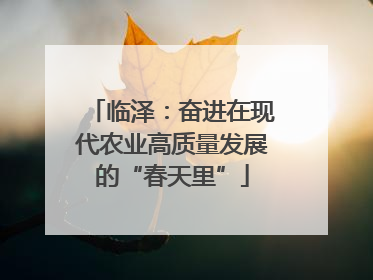 临泽：奋进在现代农业高质量发展的“春天里”