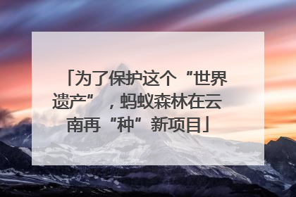 为了保护这个“世界遗产”，蚂蚁森林在云南再“种”新项目