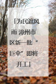 为民遮风雨 漳州市区新一批“巨伞”即将开工