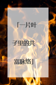一片叶子里的共富脉络