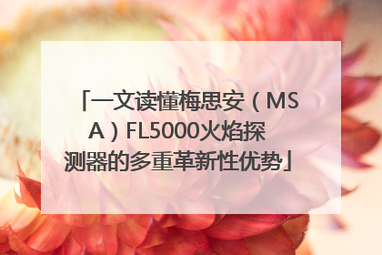 一文读懂梅思安（MSA）FL5000火焰探测器的多重革新性优势