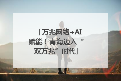 万兆网络+AI赋能！青海迈入“双万兆”时代