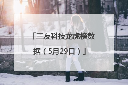 三友科技龙虎榜数据（5月29日）