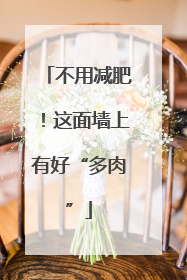 不用减肥！这面墙上有好“多肉”