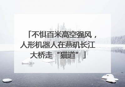 不惧百米高空强风，人形机器人在燕矶长江大桥走“猫道”