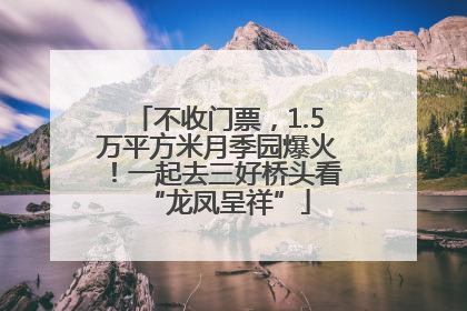 不收门票，1.5万平方米月季园爆火！一起去三好桥头看“龙凤呈祥”