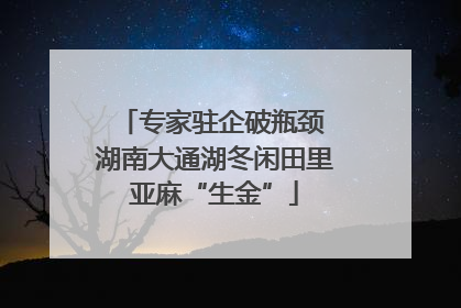 专家驻企破瓶颈 湖南大通湖冬闲田里亚麻“生金”