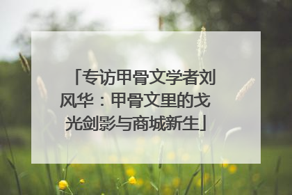 专访甲骨文学者刘风华：甲骨文里的戈光剑影与商城新生