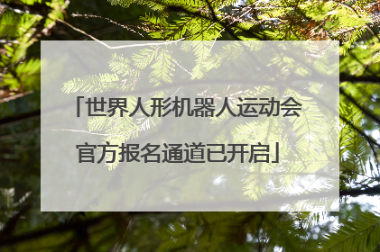世界人形机器人运动会官方报名通道已开启
