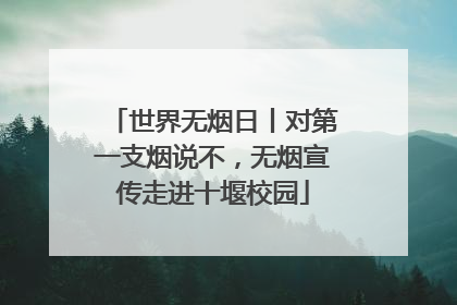 世界无烟日丨对第一支烟说不，无烟宣传走进十堰校园