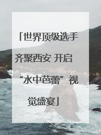 世界顶级选手齐聚西安 开启“水中芭蕾”视觉盛宴