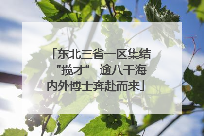 东北三省一区集结“揽才” 逾八千海内外博士奔赴而来