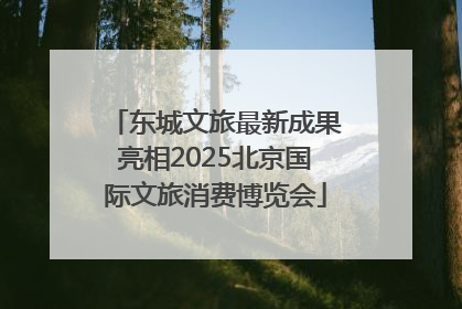 东城文旅最新成果亮相2025北京国际文旅消费博览会