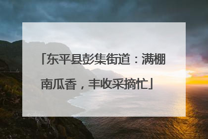 东平县彭集街道：满棚南瓜香，丰收采摘忙