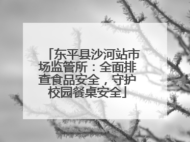 东平县沙河站市场监管所：全面排查食品安全，守护校园餐桌安全