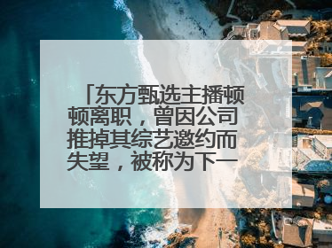 东方甄选主播顿顿离职，曾因公司推掉其综艺邀约而失望，被称为下一个董宇辉