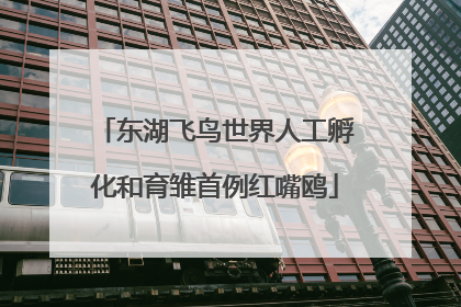 东湖飞鸟世界人工孵化和育雏首例红嘴鸥