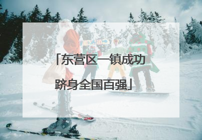 东营区一镇成功跻身全国百强
