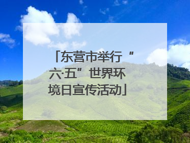 东营市举行“六·五”世界环境日宣传活动