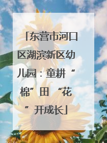 东营市河口区湖滨新区幼儿园：童耕“棉”田 “花”开成长