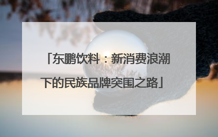 东鹏饮料：新消费浪潮下的民族品牌突围之路