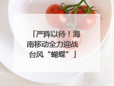 严阵以待！海南移动全力迎战台风“蝴蝶”